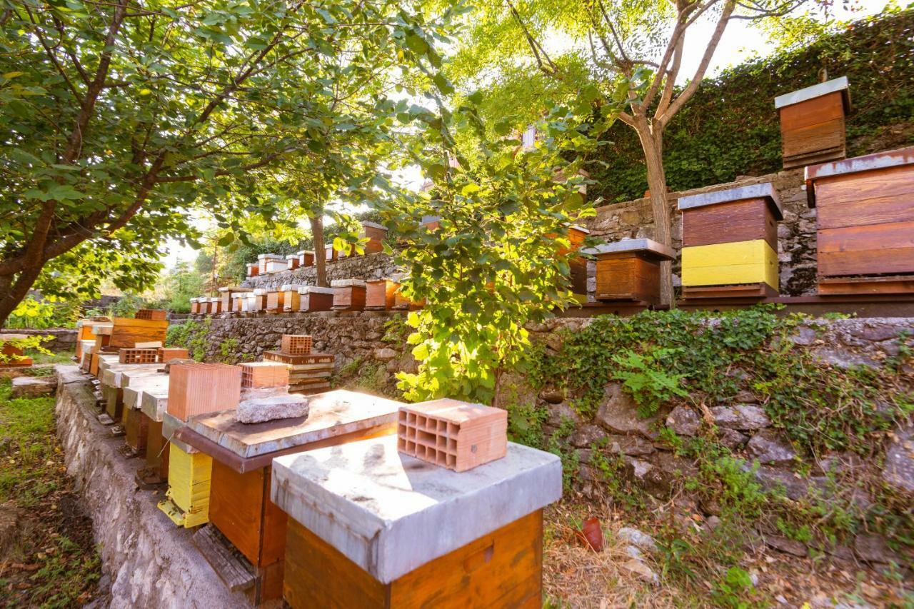 Honey Farm House Virpazar Exterior foto