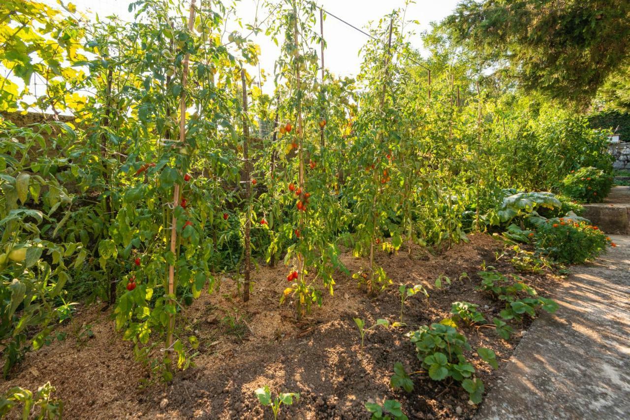 Honey Farm House Virpazar Exterior foto